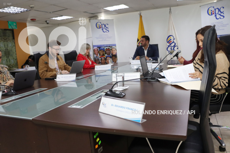 PLENO PARTICIPACION CIUDADANA