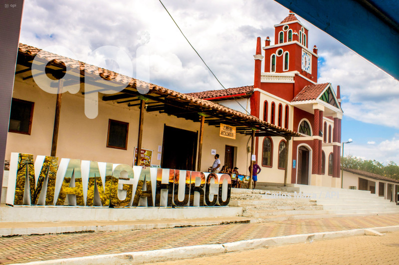 EVN - FLORECIMIENTO GUAYACANES