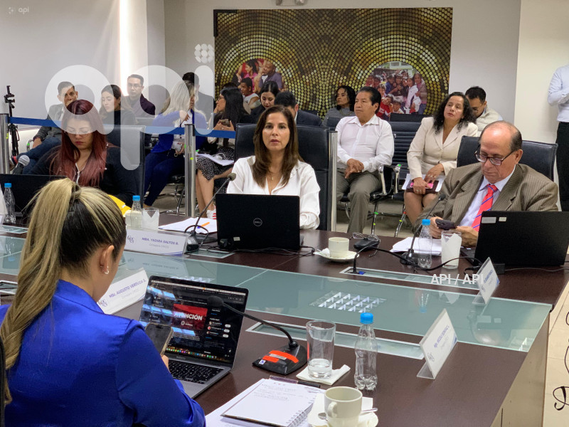 CONSEJO PARTICIPACION  CIUDADANA