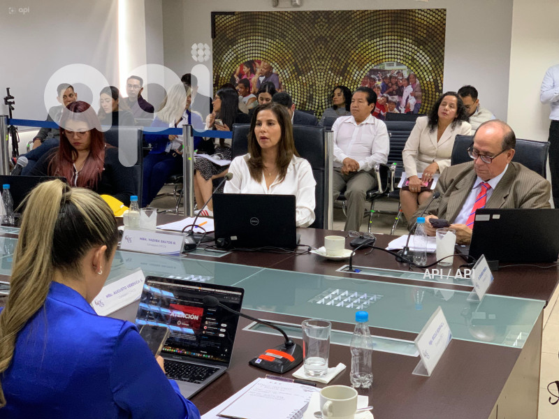 CONSEJO PARTICIPACION  CIUDADANA