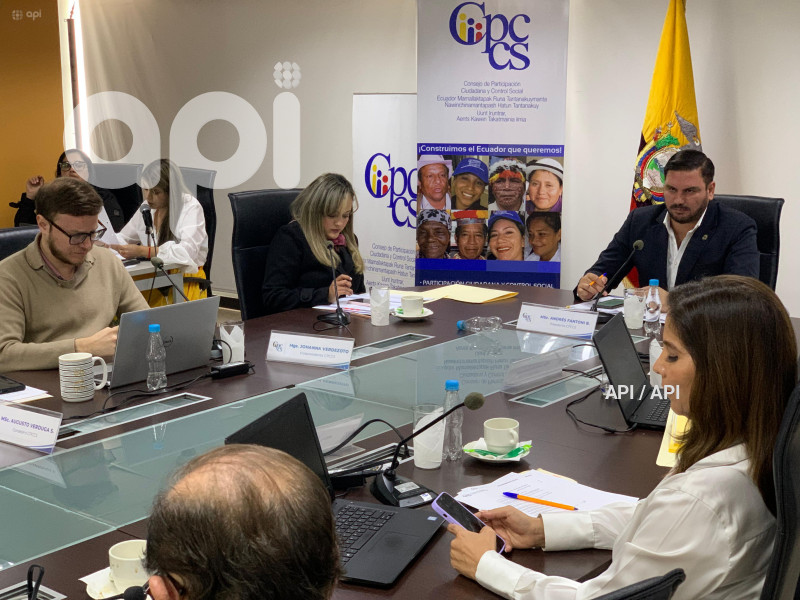 CONSEJO PARTICIPACION  CIUDADANA