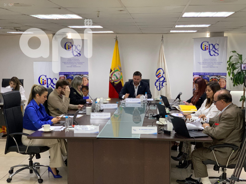 CONSEJO PARTICIPACION  CIUDADANA