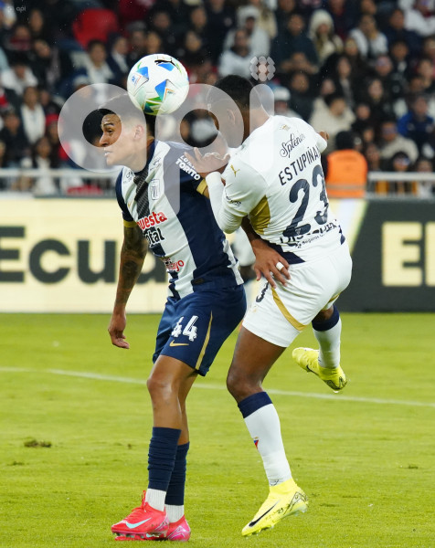 FBL NOCHE BLANCA LIGA