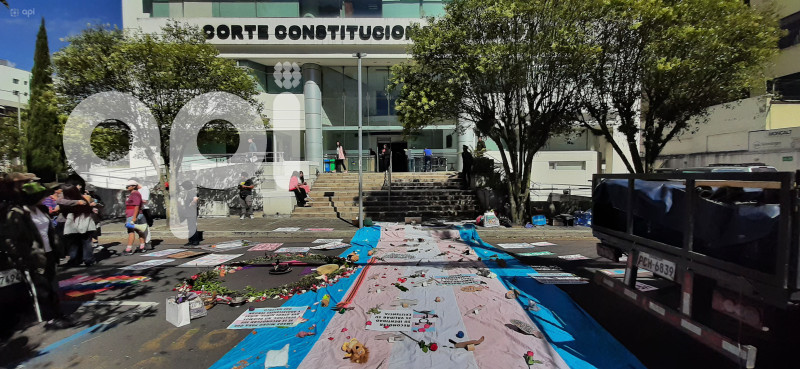 PLANTON CASO AMADA