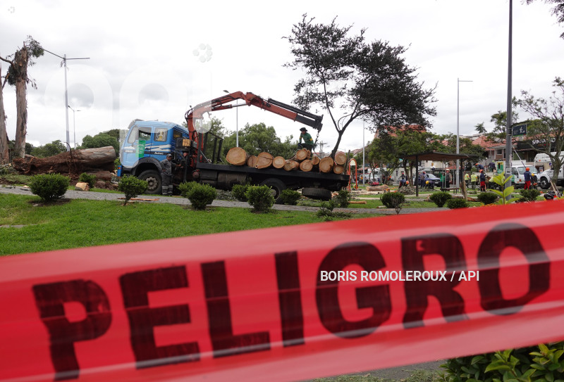 CUENCA-ACCIDENTE ARBOL PARQUE LA PAZ