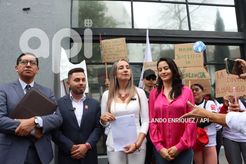 ELSA GUERRA DENUNCIA A LUCIO GUTIERREZ EN EL TCE