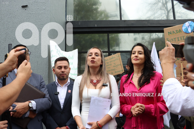 ELSA GUERRA DENUNCIA A LUCIO GUTIERREZ EN EL TCE