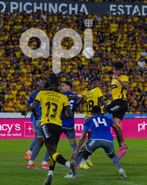 GYE-NOCHE AMARILLA