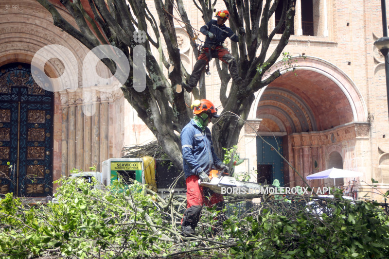 CUENCA-TALA DE ARBOLES-PARQUE CALDERON