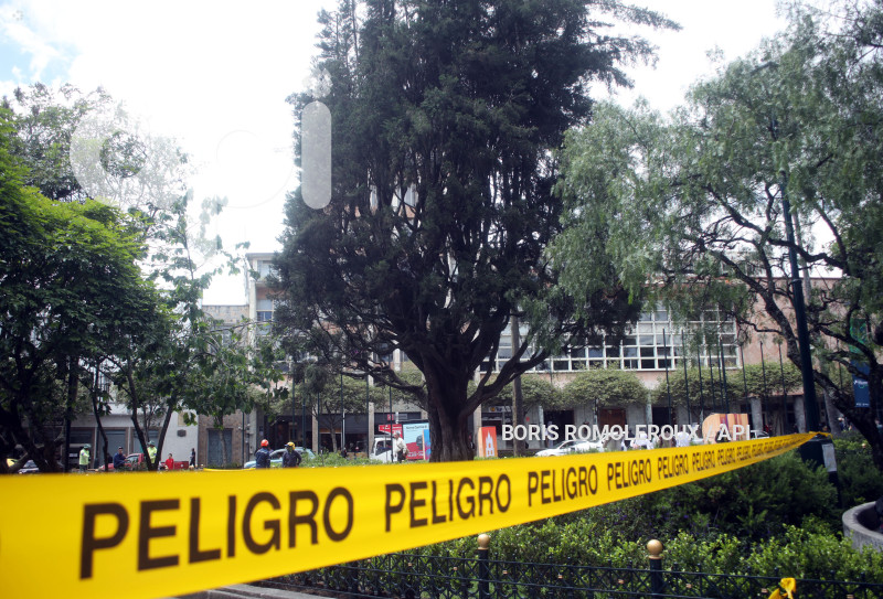 CUENCA-TALA DE ARBOLES-PARQUE CALDERON