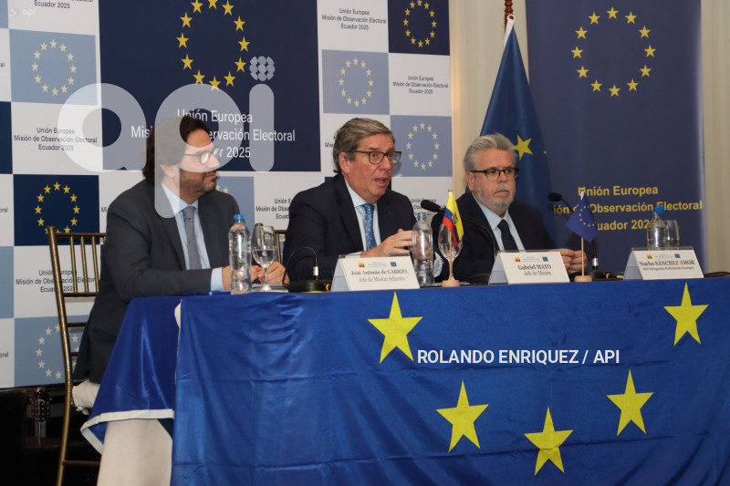 OBSERVADORES UNION EUROPEA