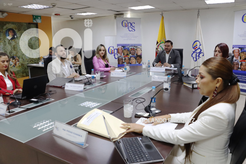 CONSEJO PARTICIPACION CIUDADANA