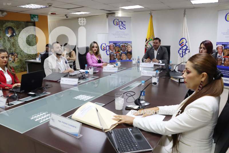 CONSEJO PARTICIPACION CIUDADANA