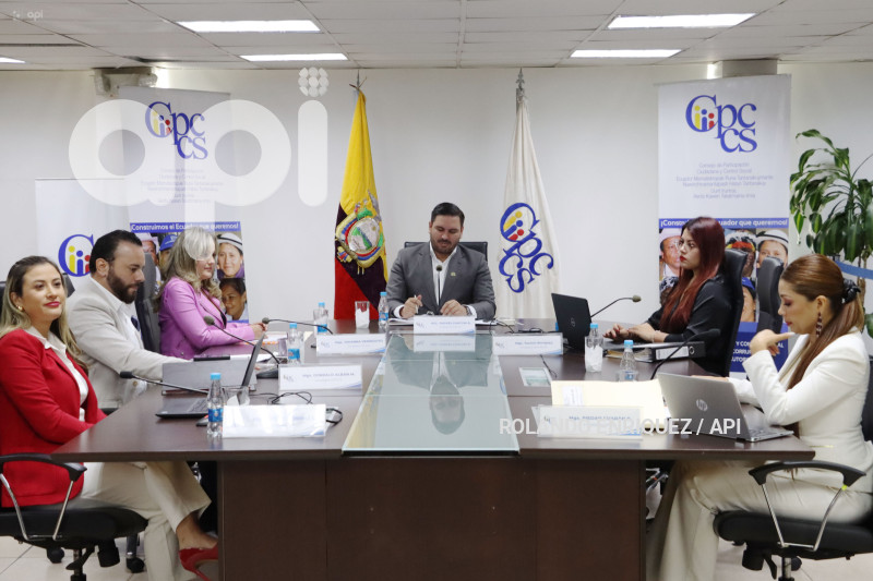 CONSEJO PARTICIPACION CIUDADANA