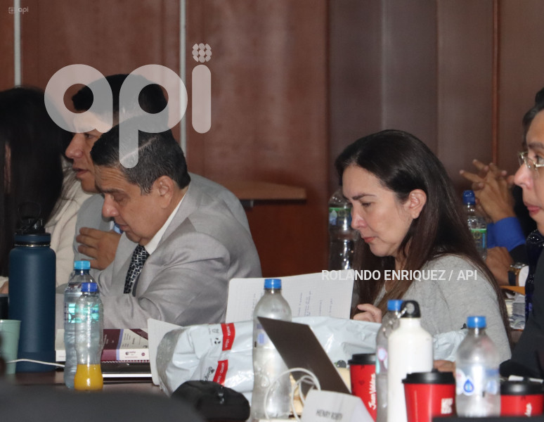 CASO PURGA