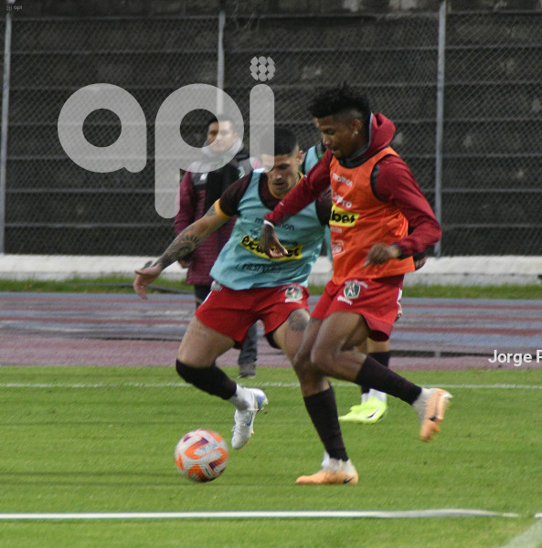 FBL LIGA PRO MUSHUC RUNA DELFIN