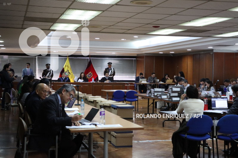CASO PURGA