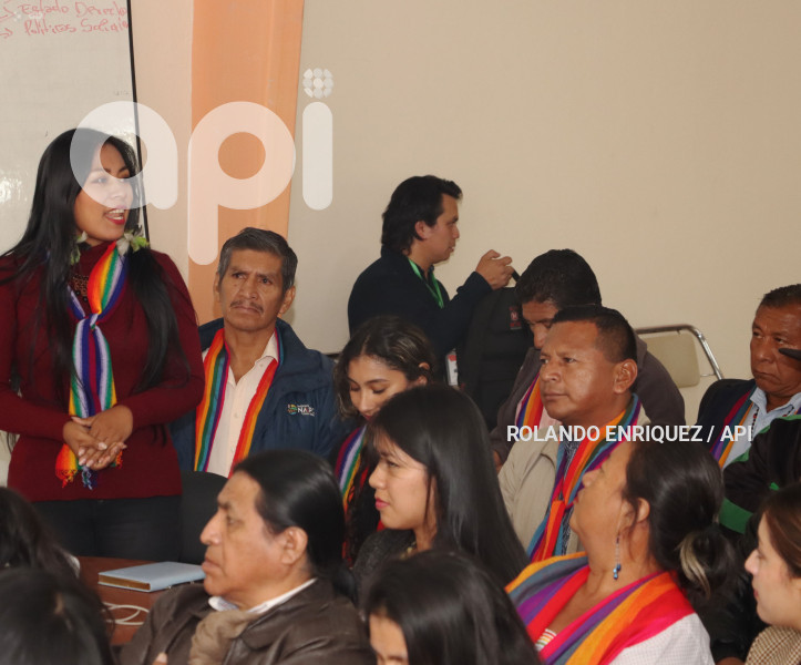CONSEJO POLITICO PACHAKUTIK