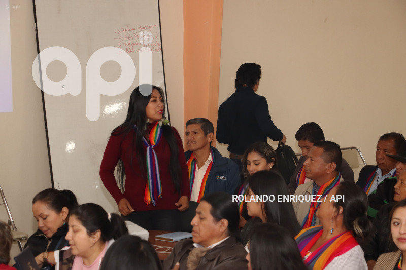 CONSEJO POLITICO PACHAKUTIK