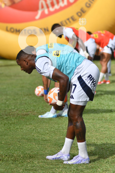 FBL-LIGAPRO-DELFIN-EMELEC