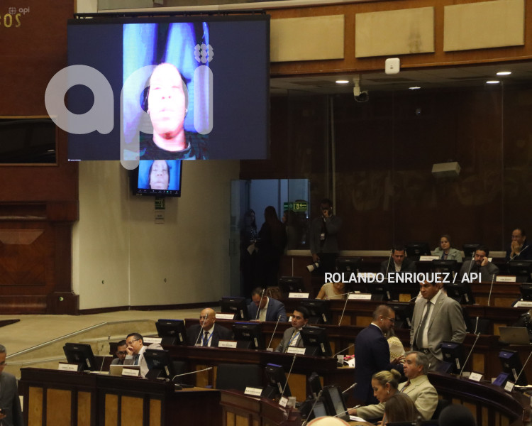 PLENO ASAMBLEA 4 MENORES
