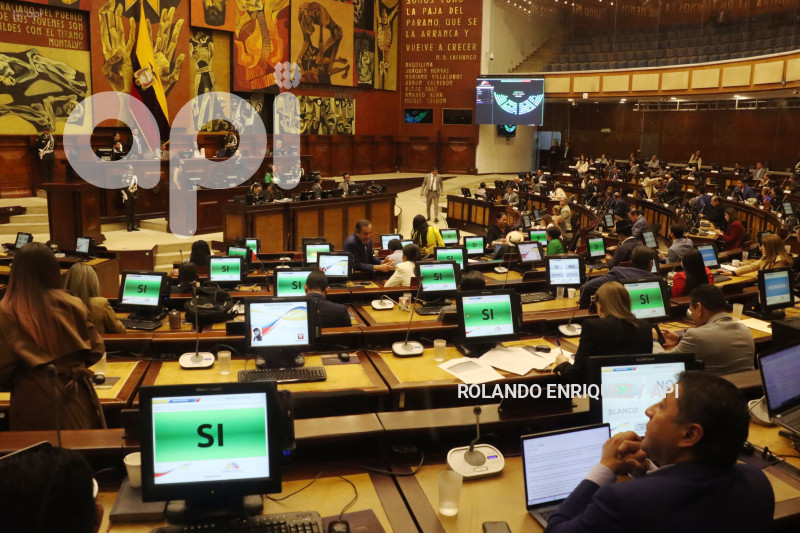 PLENO ASAMBLEA 4 MENORES