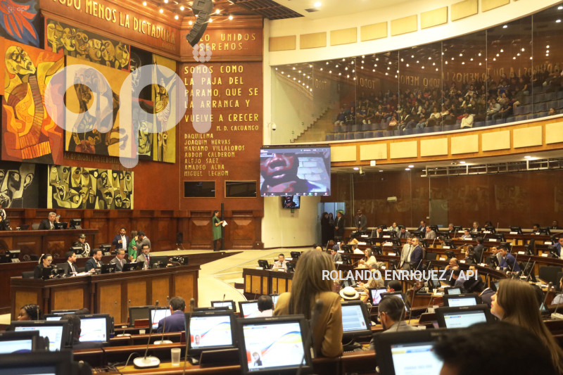 PLENO ASAMBLEA 4 MENORES