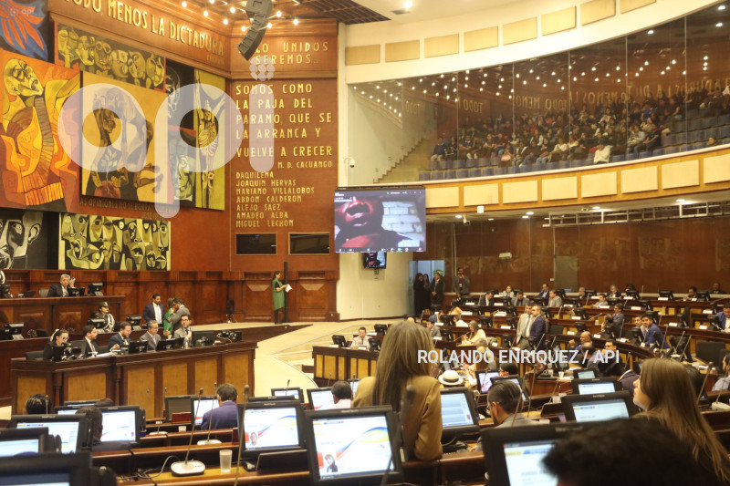 PLENO ASAMBLEA 4 MENORES
