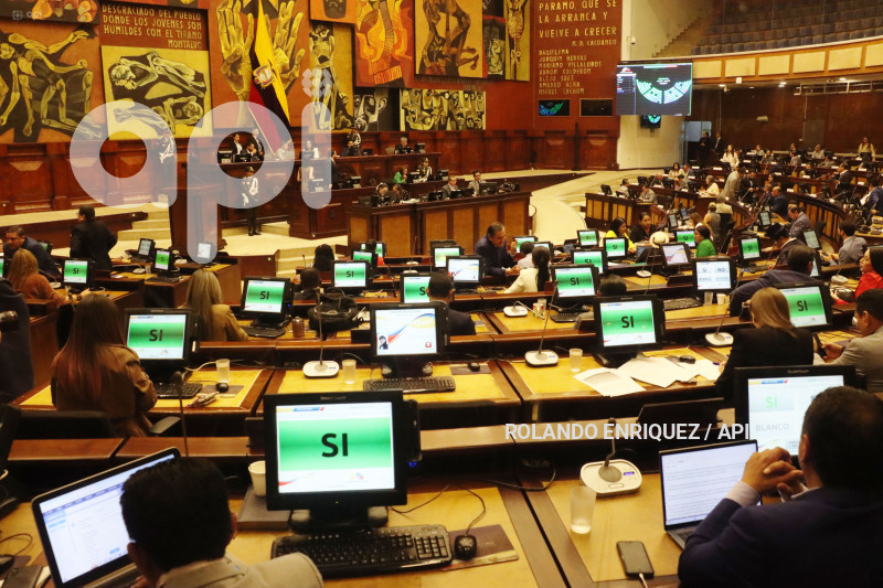 PLENO ASAMBLEA 4 MENORES