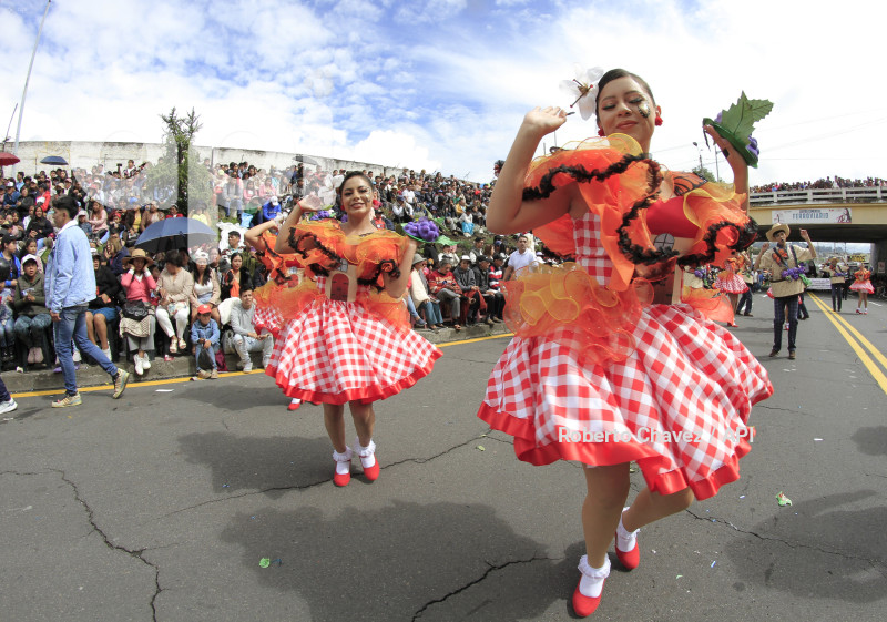 AMB-FIESTA FRUTA Y FLORES