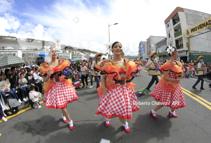 AMB-FIESTA FRUTA Y FLORES