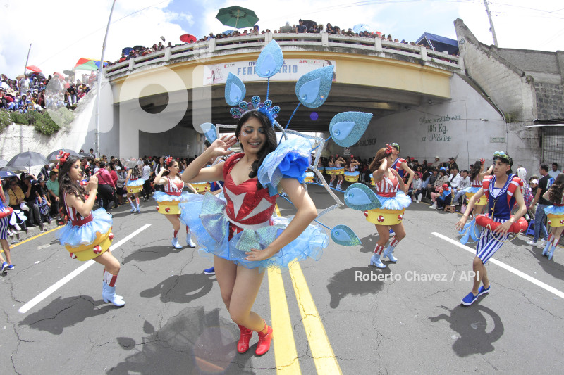 AMB-FIESTA FRUTA Y FLORES