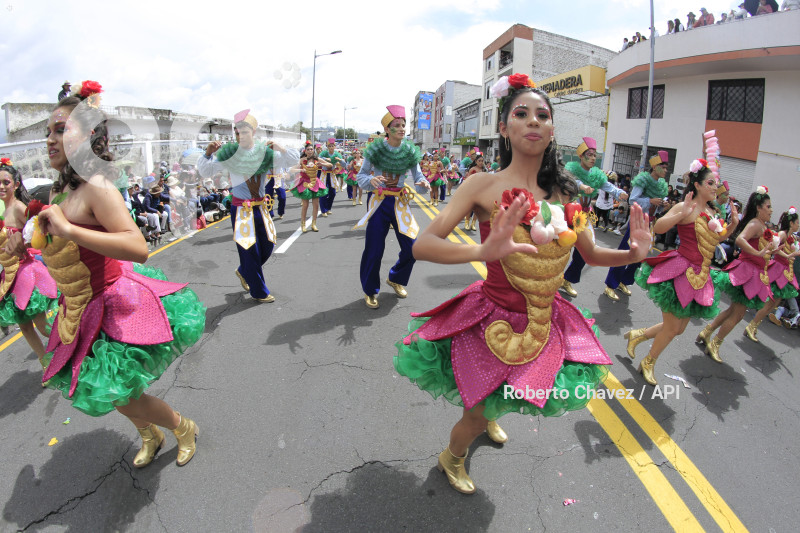 AMB-FIESTA FRUTA Y FLORES