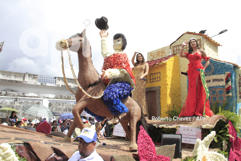 AMB-FIESTA FRUTA Y FLORES