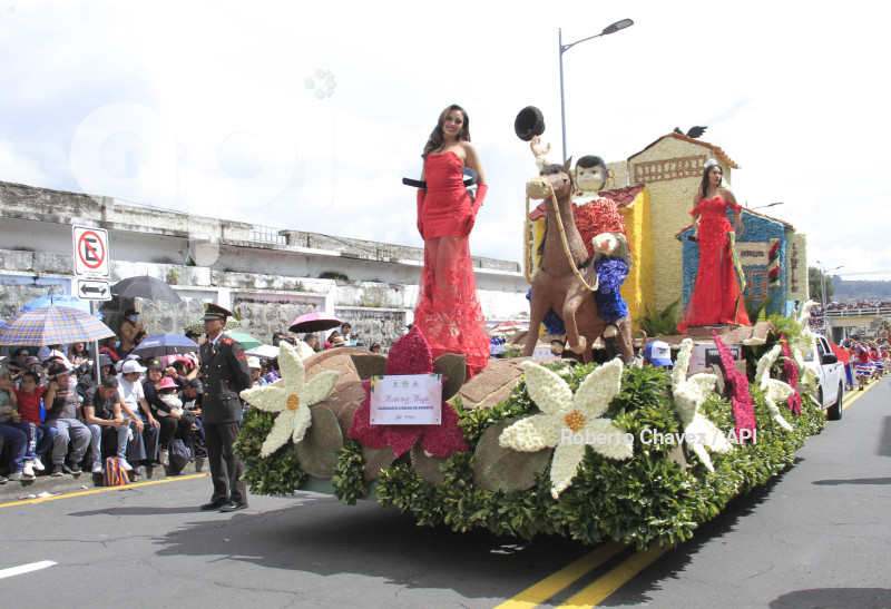 AMB-FIESTA FRUTA Y FLORES