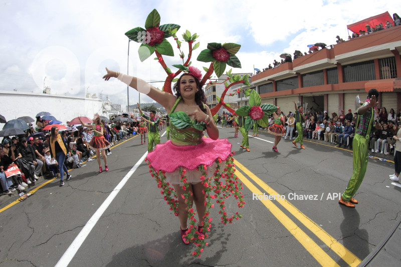 AMB-FIESTA FRUTA Y FLORES