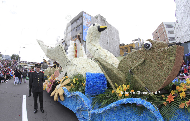 AMB-FIESTA FRUTA Y FLORES