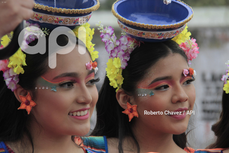 AMB-FIESTA FRUTA Y FLORES
