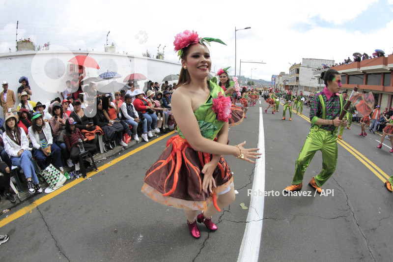 AMB-FIESTA FRUTA Y FLORES