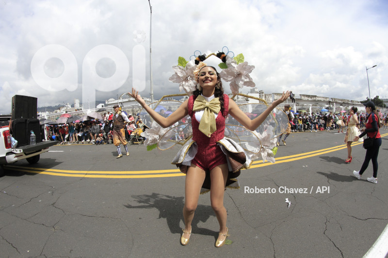 AMB-FIESTA FRUTA Y FLORES