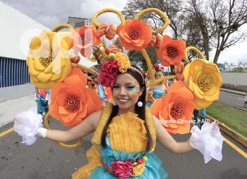 AMB-FIESTA FRUTA Y FLORES