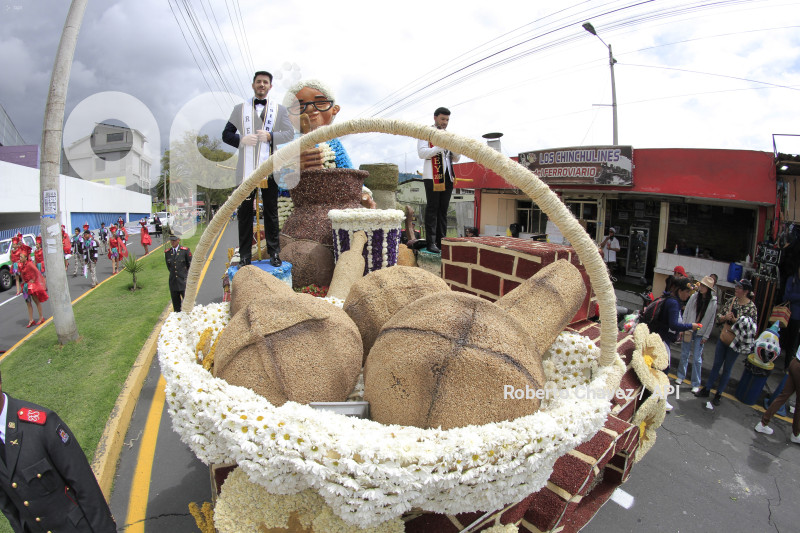 AMB-FIESTA FRUTA Y FLORES
