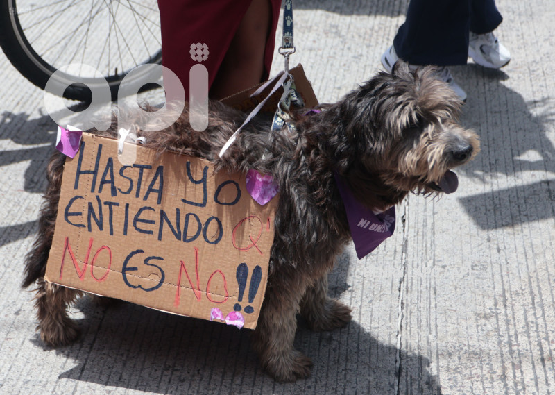 MARCHA DIA DE LA MUJER