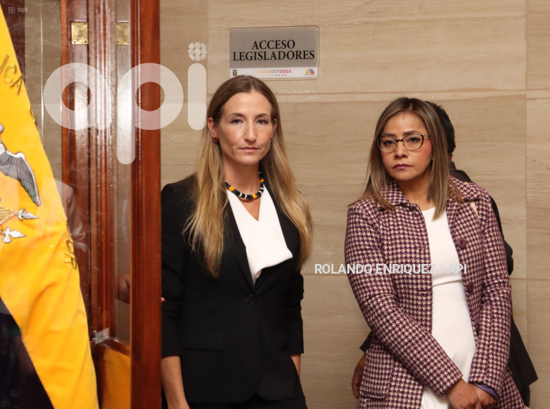 ASAMBLEA GABRIELA GOLDBAUN