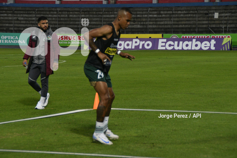 FBL LIGAPRO MUSHUC RUNA VINO TINTO