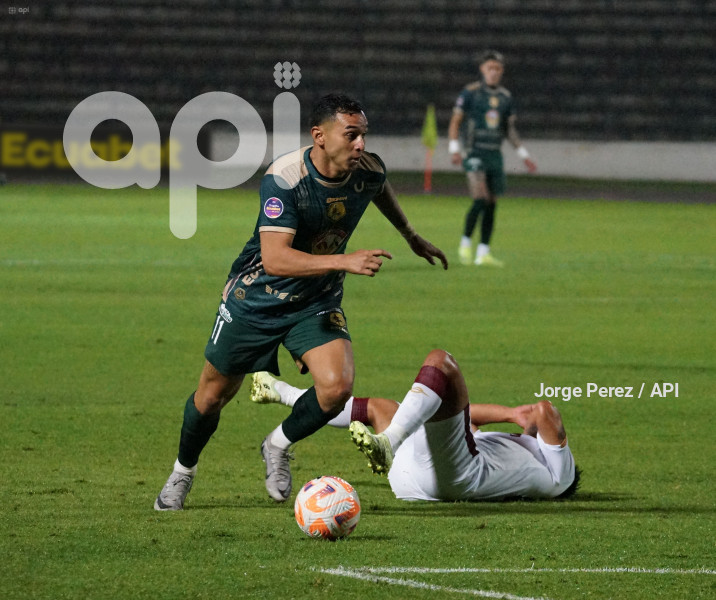 FBL LIGAPRO MUSHUC RUNA VINO TINTO