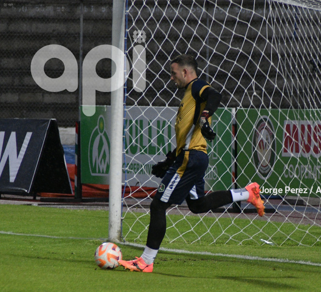 FBL LIGAPRO MUSHUC RUNA VINO TINTO