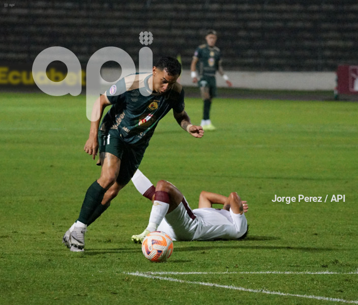 FBL LIGAPRO MUSHUC RUNA VINO TINTO