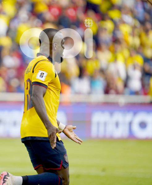 FBL ELIMINATORIAS 2025 ECUADOR VS VENEZUELA