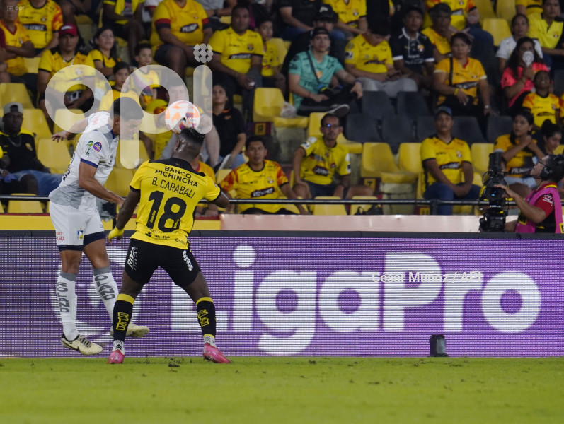 FBL-LIGAPRO-BARCELONA-DELFIN